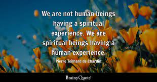 we are spiritual beings having a human experience